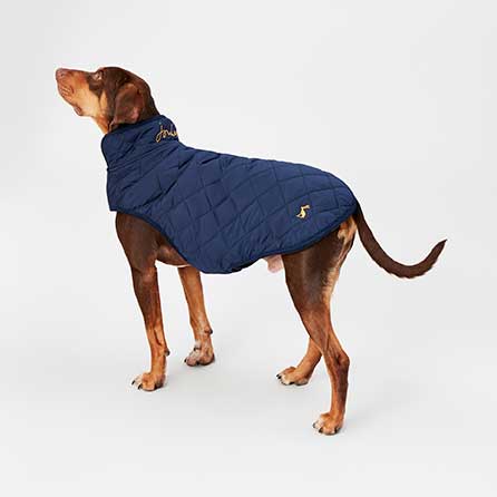 Joules Navy Quilted Dog Coat image 0