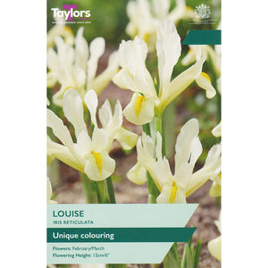 Iris Reticulata ‘Louise’ (9 Bulbs) image 0