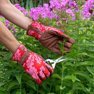 Burgon & Ball Kneelo® Garden Kneeler & Gardening Gloves Bundle - Poppy image 1