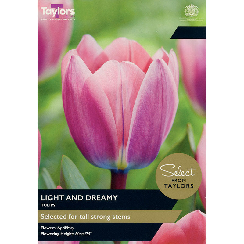 Tulip ‘Light and Dreamy’ (7 Bulbs) image 0