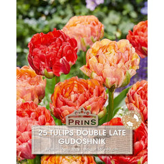 Tulip 'Gudoshnik' (25 bulbs) image 0