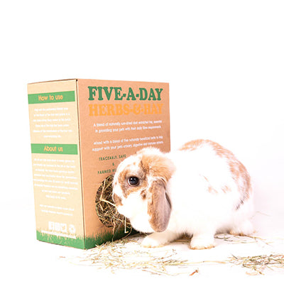 Norfolk Pastures Five-A-Day Herbs & Hay Box image 0