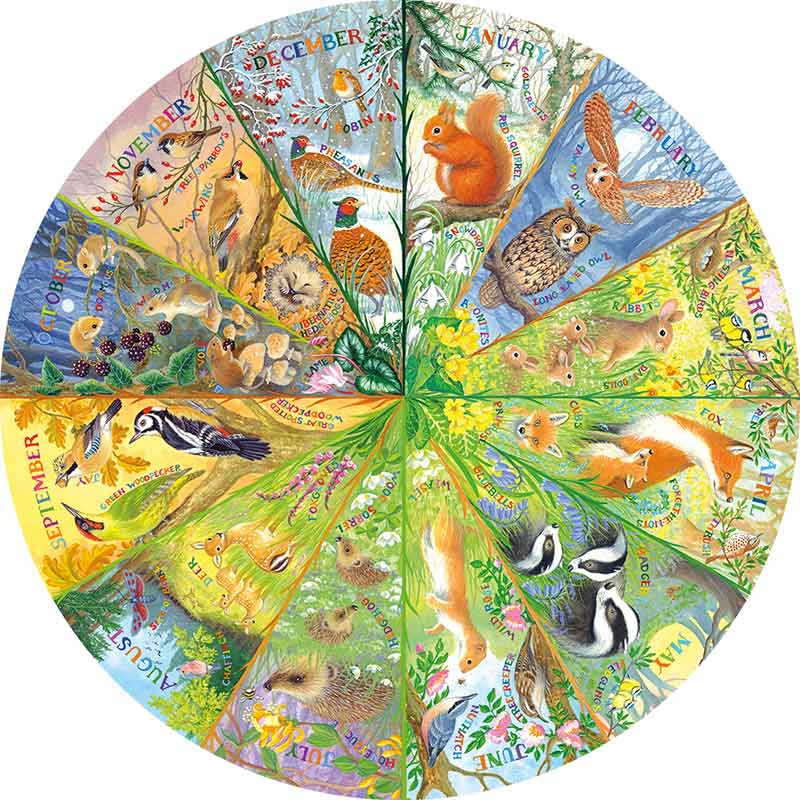 National Trust: A Year in the Forest 500 Piece Jigsaw Puzzle image 0