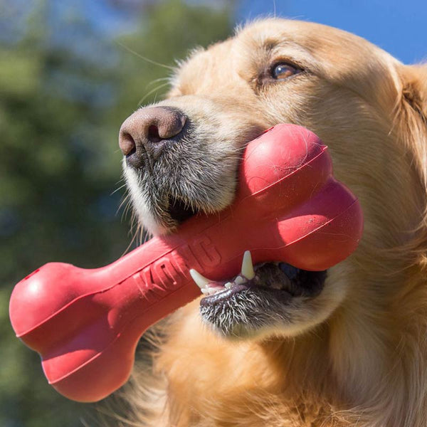 Kong Classic Goodie Bone Dog Toy image 0