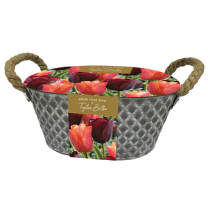 'Jimmy' and 'Ronaldo' Tulip Outdoor Metal Trough (7 bulbs) image 0