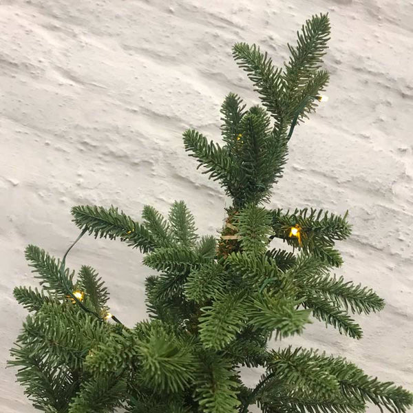 Everlands Battery-Operated Bergen Fir Pre-Lit Christmas Tree - 3ft image 3