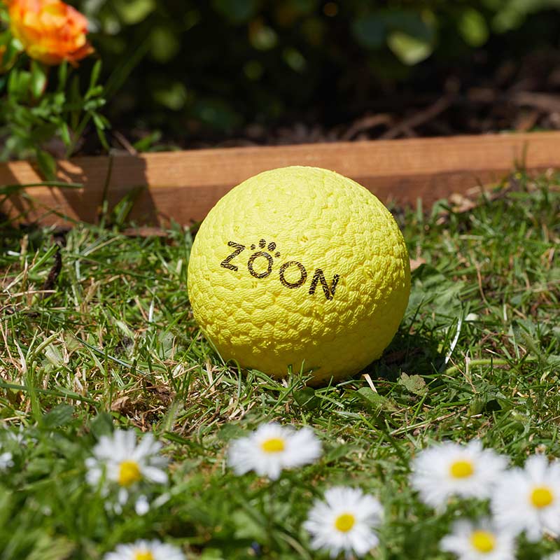 Zoon Indestruct-a-Ball Dog Toy image 0