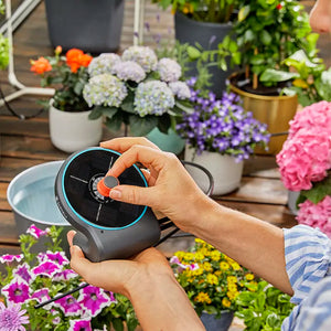 GARDENA Solar-powered Irrigation AquaBloom Set image 4