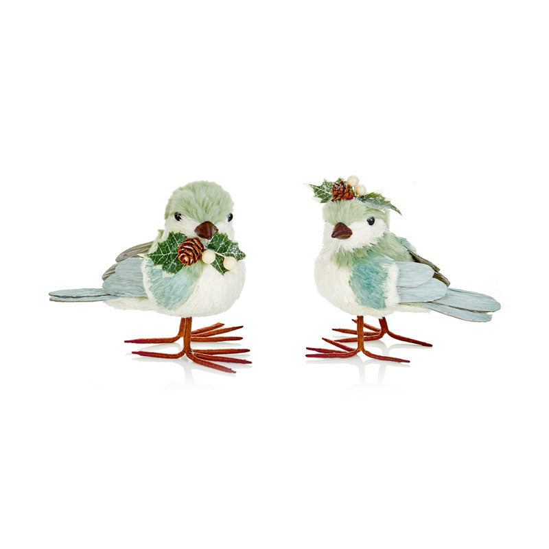 Premier Mint Green Bird (Assorted Designs) image 0