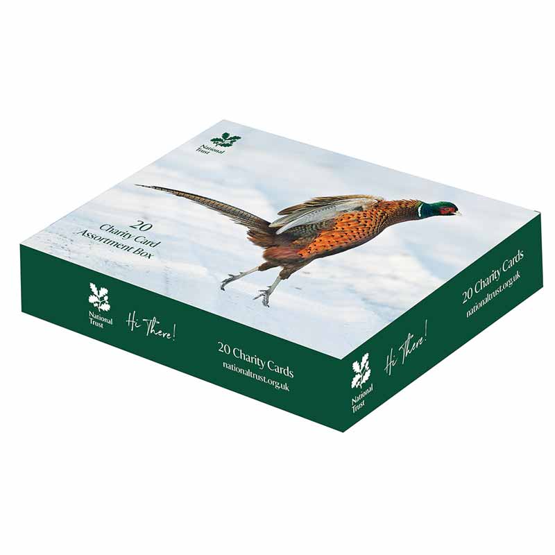 National Trust 'Hi There!' Charity Christmas Card Assortment Box (Pack of 20) image 0