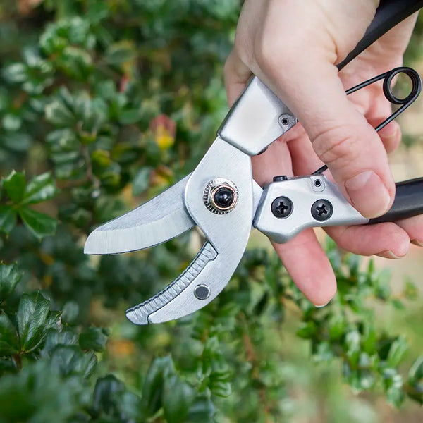 Darlac Compact Anvil Pruner image 1