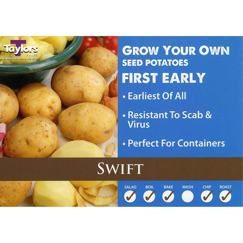 Swift First Early Seed Potatoes image 0