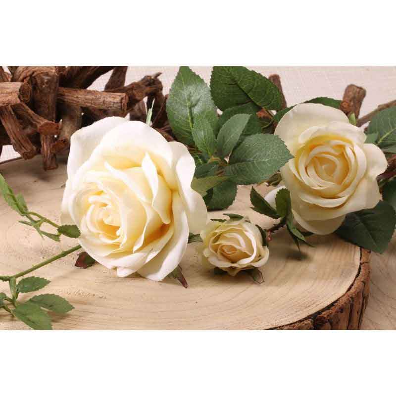 Hamilton Cream Rose Spray - 2 Heads (79cm) image 0