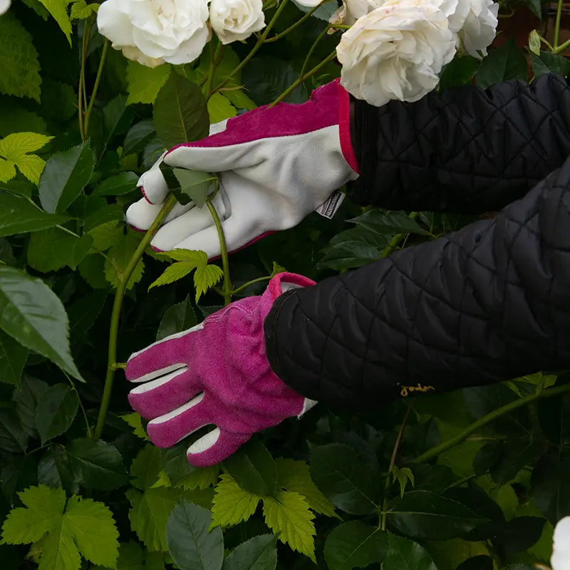 Town & Country Premium Leather & Suede Gloves image 0