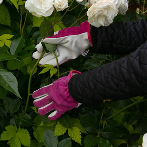 Town & Country Premium Leather & Suede Gloves image 1