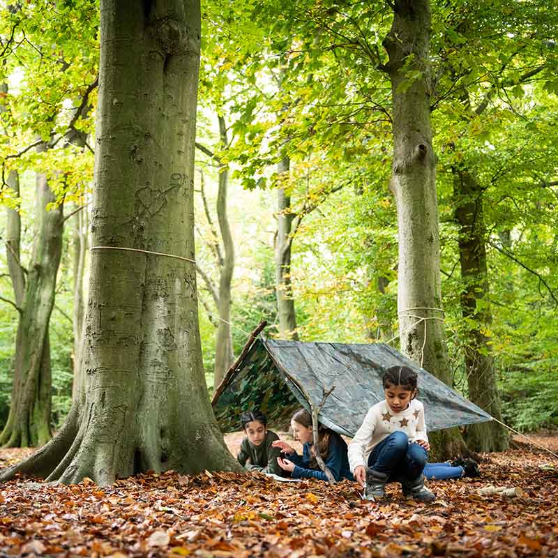 The British Woodland Den Kit image 0