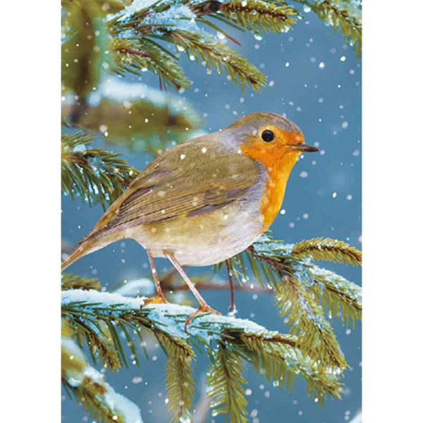 Ling Design Big Value Box - Christmas Animals (Pack of 24) image 3