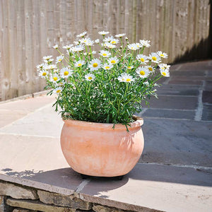 Pot-Mate Discreet Plant Pot Feet image 2