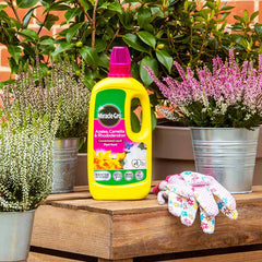 Miracle-Gro Azalea, Camellia & Rhododendron Liquid Plant Food (800ml) image 0
