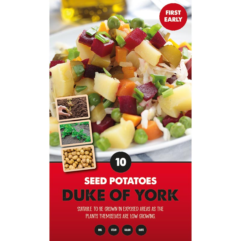 Duke of York First Early Seed Potatoes image 0