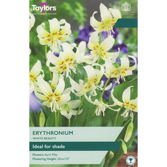Erythronium ‘White Beauty’ (2 Bulbs) image 0