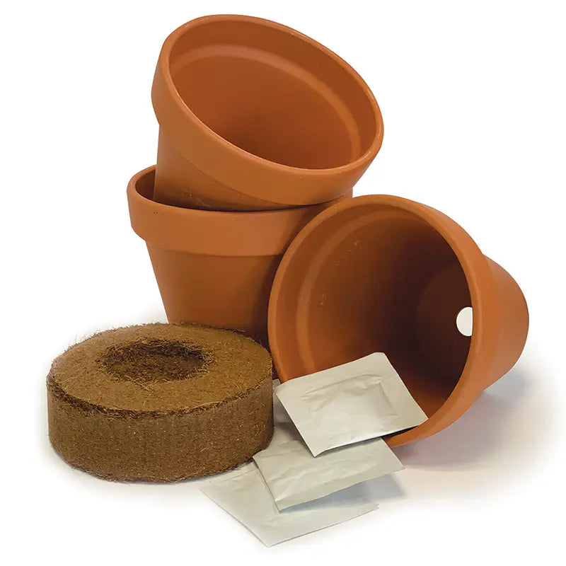Grow Your Own Chillies House Starter Kit image 0