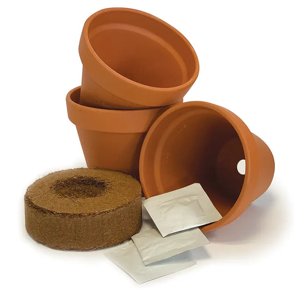 Grow Your Own Chillies House Starter Kit image 1