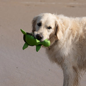 Petface Tessi Turtle Dog Toy image 2