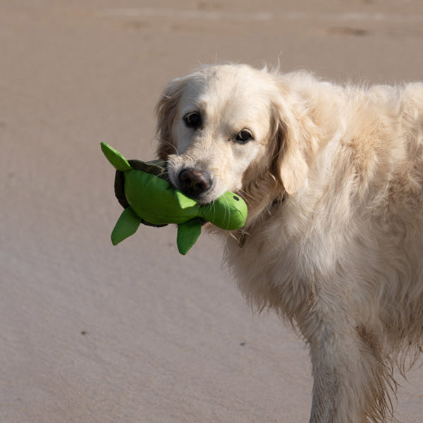 Petface Tessi Turtle Dog Toy image 2