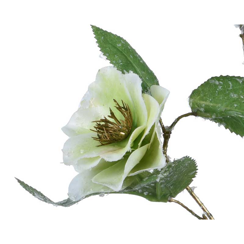 Everlands Green Hellebore Spray (52cm) image 0