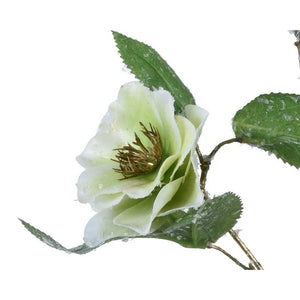 Everlands Green Hellebore Spray (52cm) image 1