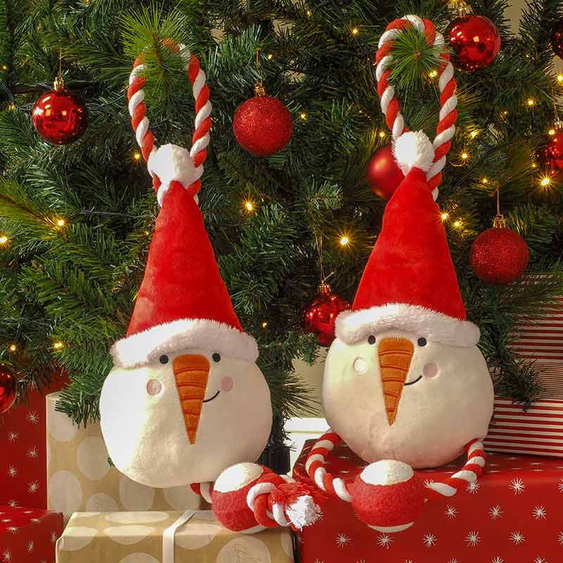 Zoon Tugga Frosty Dog Toy (Assorted Designs) image 0