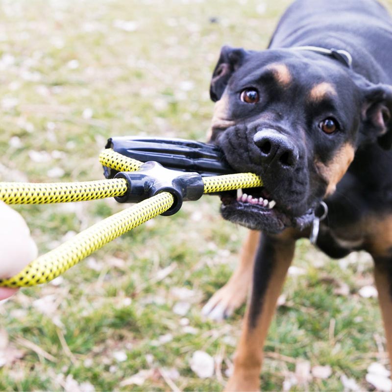 Kong Jaxx Infinity Tug Dog Toy image 0