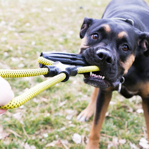Kong Jaxx Infinity Tug Dog Toy image 1
