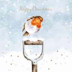 Wrendale Designs Boxed Cards - A Little Red Robin (Pack of 8) image 0
