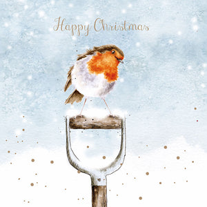 Wrendale Designs Boxed Cards - A Little Red Robin (Pack of 8) image 0