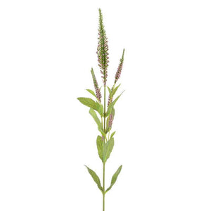 Floralsilk Veronica Spray (72cm) - Pink image