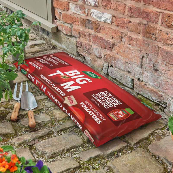 Westland Peat-Free Big Tom Large Tomato Planter (50 Litres) image 1