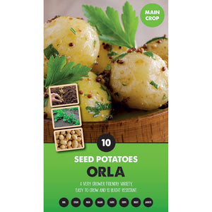 Orla Main Crop Seed Potatoes - Pack of 10 image