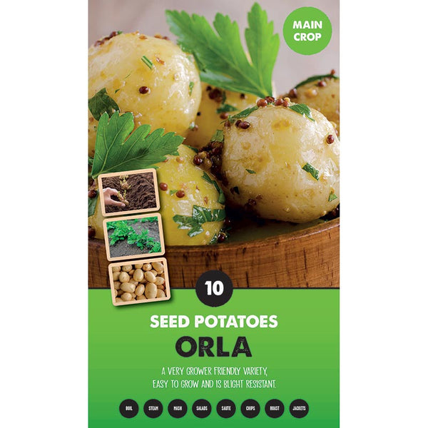Orla Main Crop Seed Potatoes - Pack of 10 image