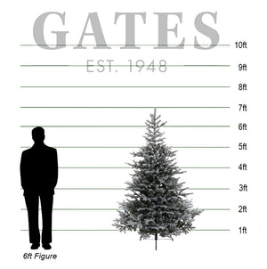 Everlands Snowy Grandis Fir Artificial Christmas Tree - 7ft image 1