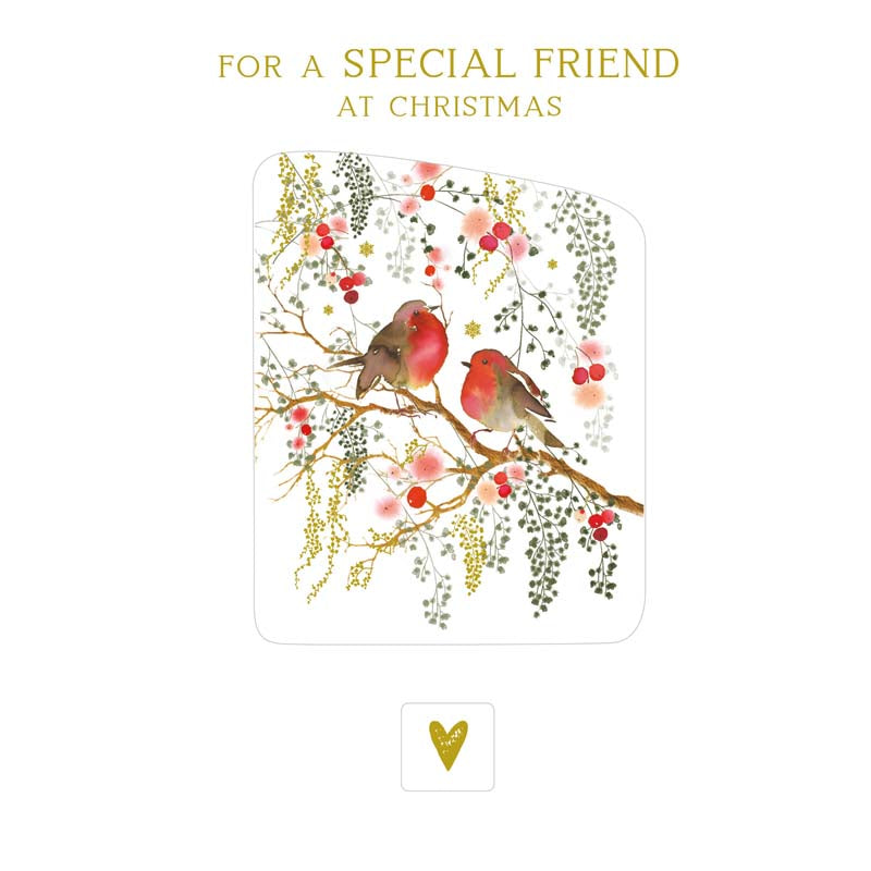 Nigel Quiney Robins & Branch Special Friend Christmas Card image 0
