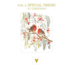 Nigel Quiney Robins & Branch Special Friend Christmas Card image 0