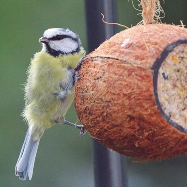 Henry Bell Suet Coconut Drum image 1