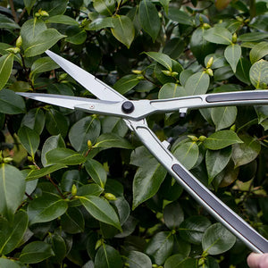 Darlac Lightweight Shears 8" image 2