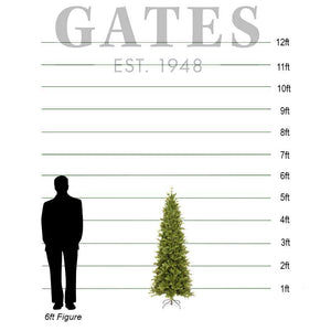 National Tree Carrington Fir Artificial Christmas Tree - 5.5ft image 1