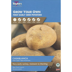 Casablanca First Early Seed Potatoes - Pack of 10 image