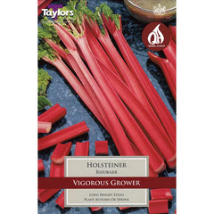 Rhubarb 'Holsteiner' image 0