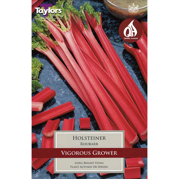 Rhubarb 'Holsteiner' image 0