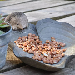 Honey & Wild Birdbath/Feeder Hedgehog On Leaf image 0